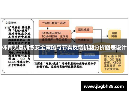 体育无氧训练安全策略与节奏反馈机制分析图表设计